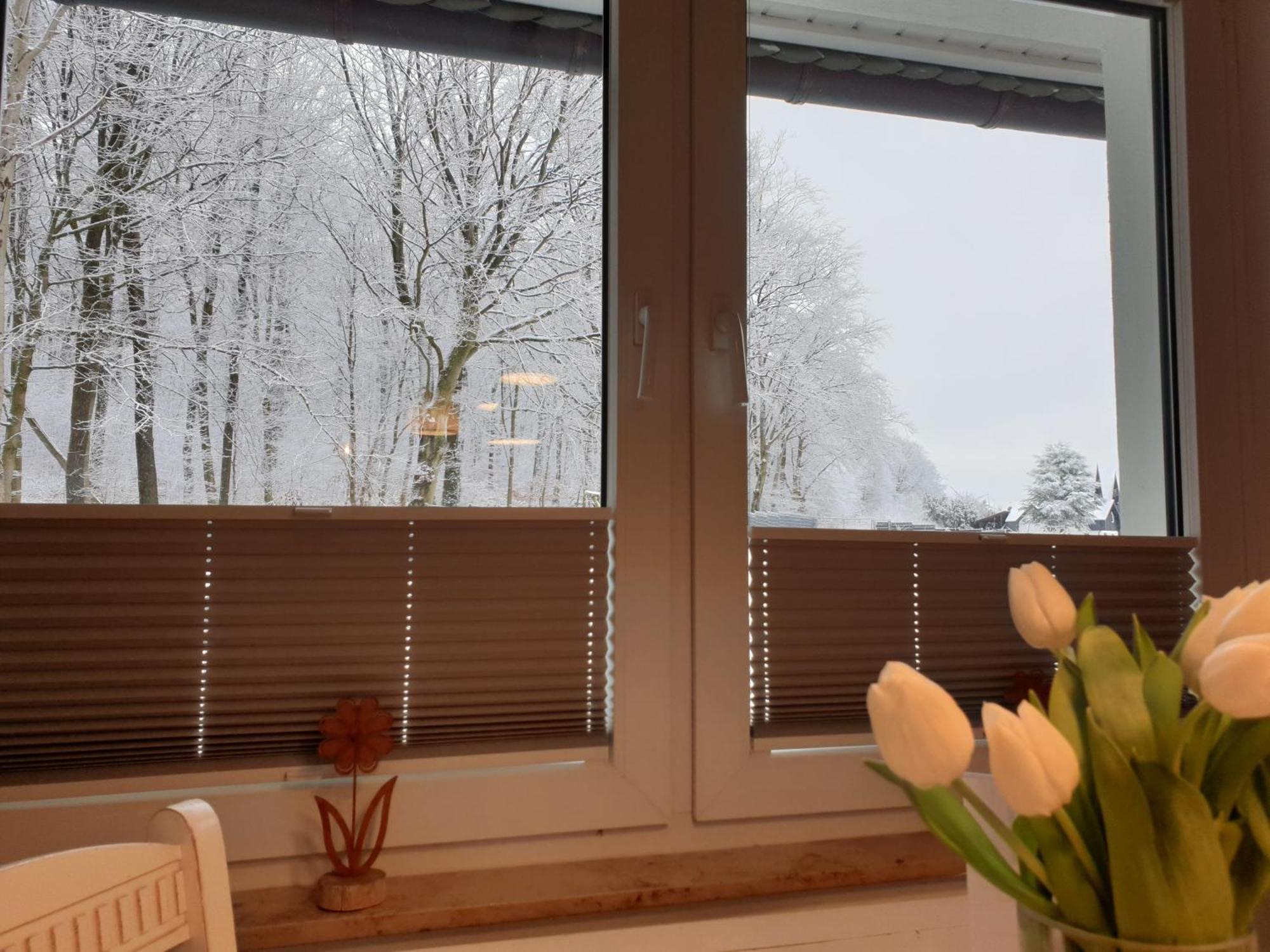 Bad Wünnenberg Fewo Winter In Der Villa Waldrand Mit Zwei Balkonen מראה חיצוני תמונה